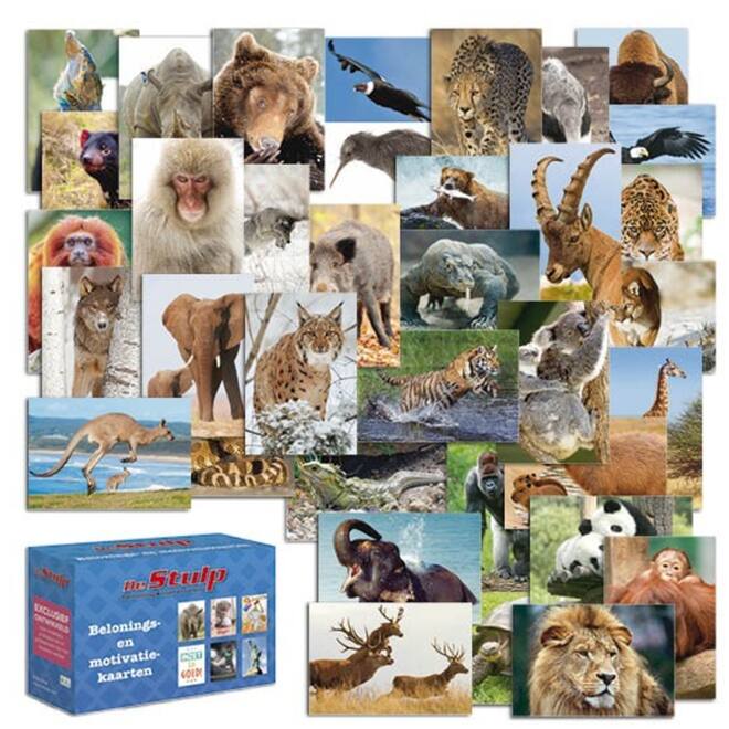 Beloningskaartpakket werelddieren 4600, 36 motieven, 72 st