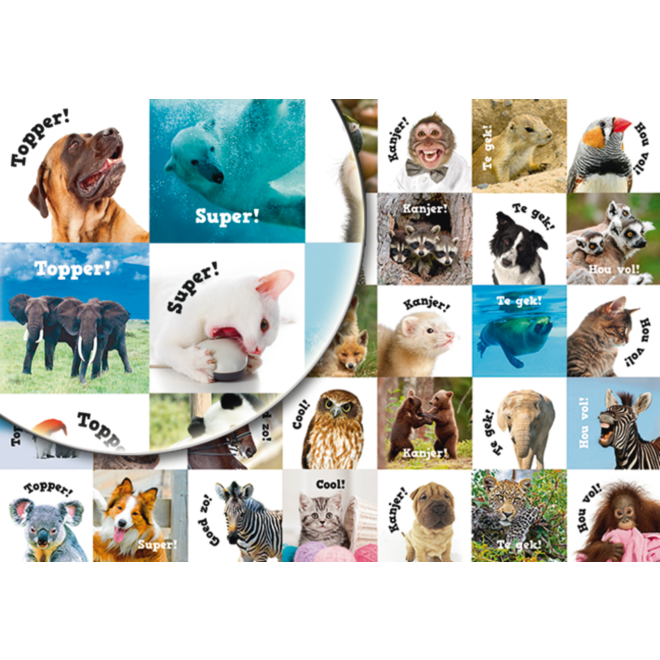 Beloningsstickers Motivatiedieren 359, 35 motieven, 700 stuks