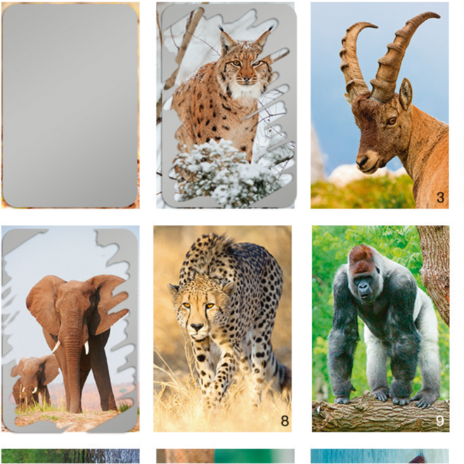 Krasstickers Werelddieren 646 36 motieven, 540 stuks