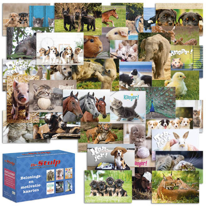 Beloningskaarten Dieren mix 4701 36 motieven, 72 stuks