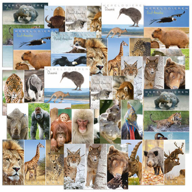 Miniposters Wereldieren Mix 1105, 12 motieven, 18 stuks