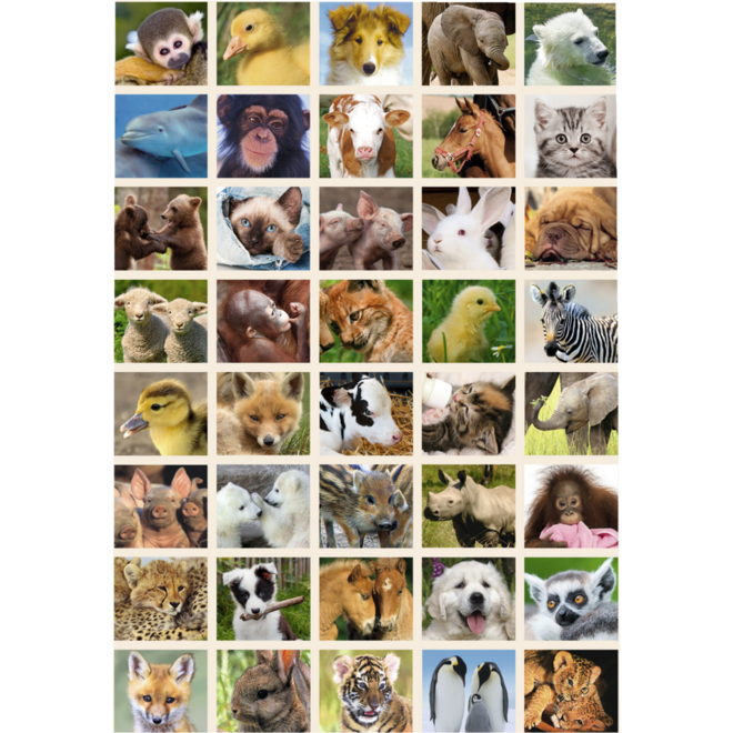 Krasstickers 644 babydieren, 40 motieven, 600 stuks