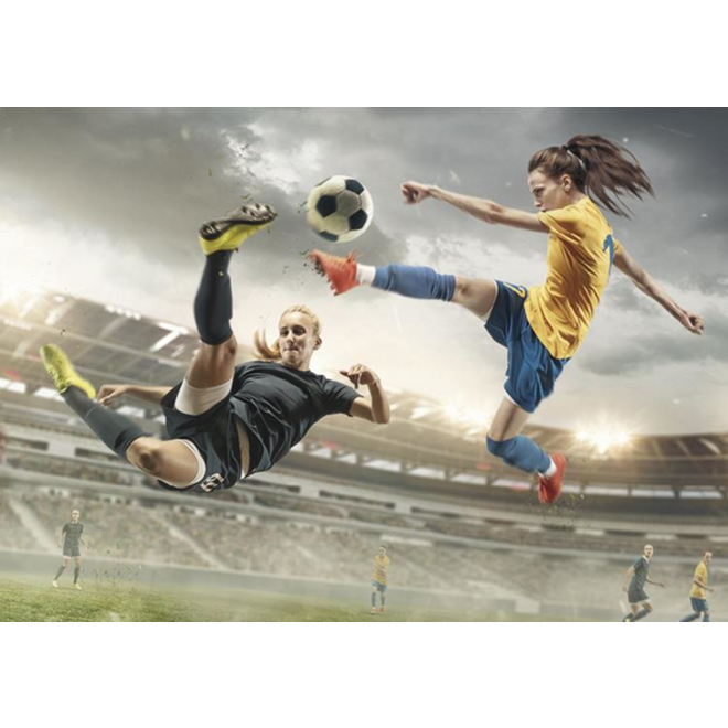 Miniposter 1089 Voetbalmeiden 4 motieven, 20 stuks