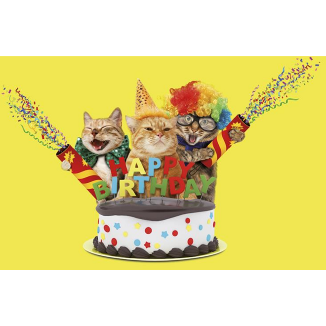 Miniposter 1086 Party animals 4 motieven, 20 stuks