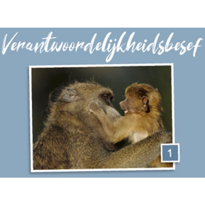 Coachkaarten 3970 burgerschapvaardigheden en identiteit, 68 stuks