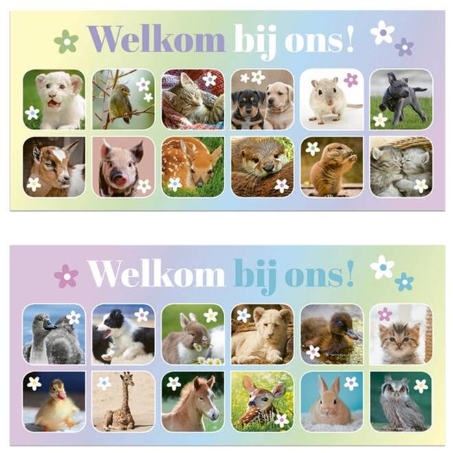 Oproepkaarten 5291 algemeen Lente Diertjes, 2 motieven, 25 stuks