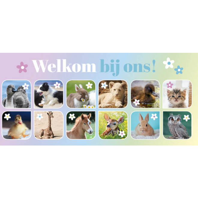 Oproepkaarten 5291 algemeen Lente Diertjes, 2 motieven, 25 stuks