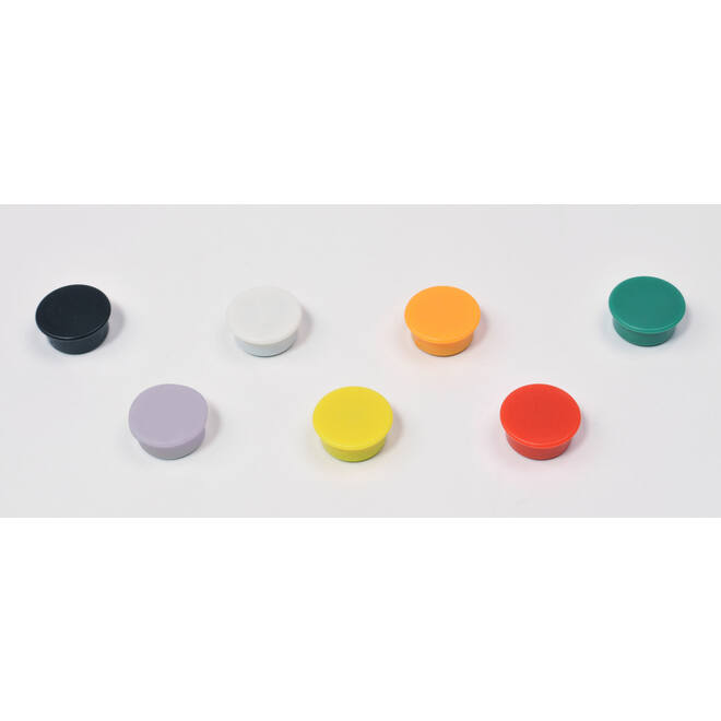 Magneet assorti 20 mm rond, 10 stuks