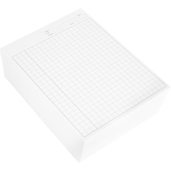 Proefwerkpapier A4, 10 mm ruit, 1000 vel