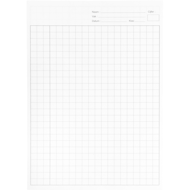 Proefwerkpapier A4, 10 mm ruit, 1000 vel