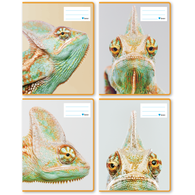 Schriften commerciaal 4x7,5 mm, reptielen, 16,5 x 21 cm, 80 gr