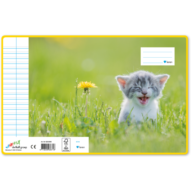 Schriften 6-3-6, jong poesje, 16,5 x 21 cm, 80 gr (25 stuks)