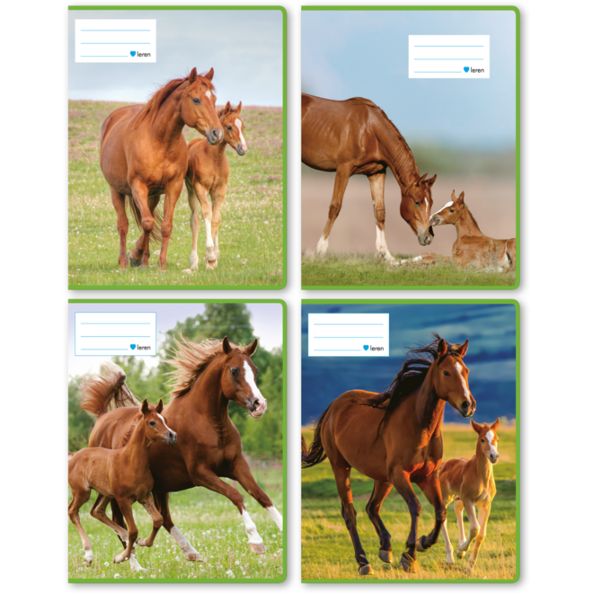 Schriften 6-4-6, paarden met jong, 16,5 x 21 cm, 80 gr