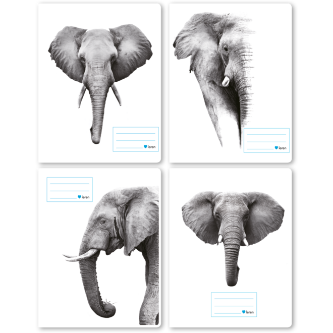 Schriften 7,5-5-7,5, olifant, 16,5 x 21 cm, 80 gr