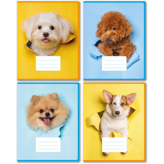Projectschriften 6-4-6/blanco, hondjes, 16,5 x 21 cm, 80 gr (25 stuks)