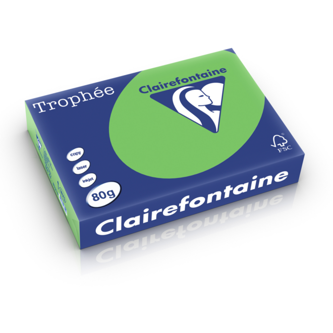 Kopieerpapier A4  lente-/grasgroen FSC houtvrij 500 vel, 80 grs.