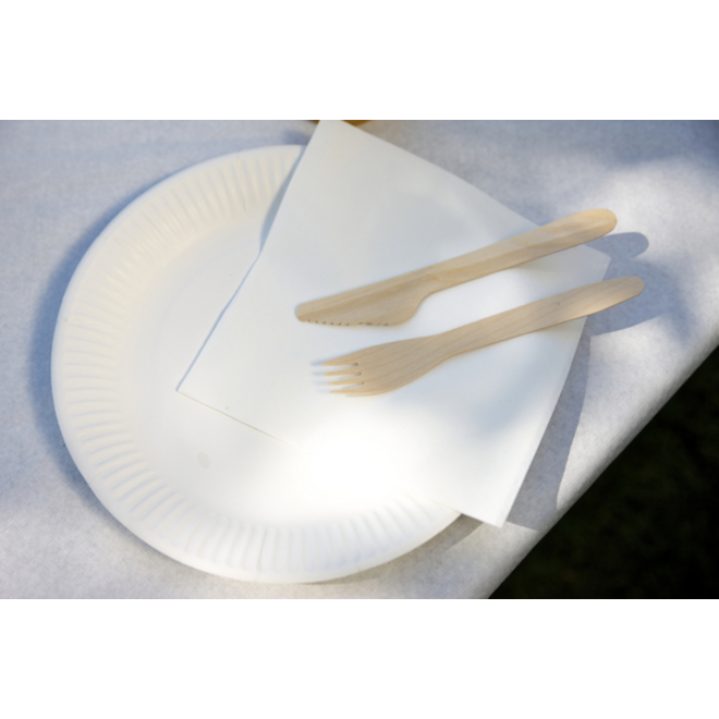 Bord karton 180 mm, 100 stuks