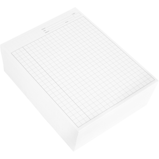Proefwerkpapier dubbel A4, ruit 10 mm, 1000 vel