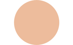 Plakkaatverf | de Rolf groep | topcolor, zalm roze 1000 ml