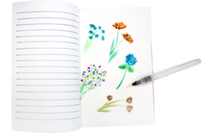 Waterpenseel 15,5 cm assorti, 6 stuks