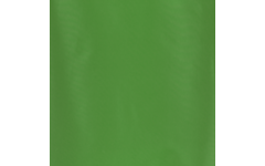 Schildersschort voor volwassenen groen