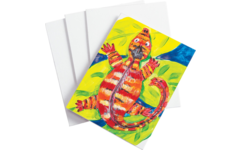 Schilderpanelen 15x20 cm, 12 stuks