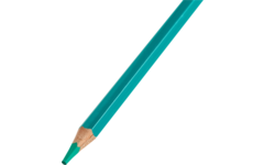 Kleurpotloden | de Rolf groep | turquoise, 12 stuks