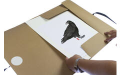 Tekeningmap A4 met lint