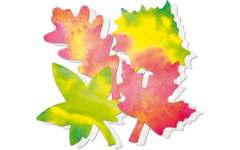 Filterpapier bladeren 18 x 23 cm, 80 stuks