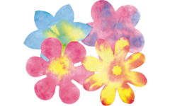 Filterpapier bloemen 23 cm, 80 stuks