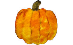 Filterpapier herfst 17 x 23 cm, 96 stuks