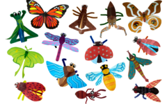 Insecten gestanst, in diverse uitvoeringen, 64 stuks