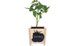 Plantenpotje hout 10 x 10 x 12 cm, 4 st