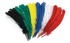 Ganzenveren 30 cm, 24 stuks