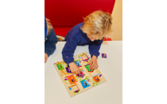 Rolf Puzzels - Knoppenpuzzel Vogelhuisjes