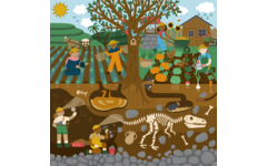 Rolf Puzzels - Puzzel boven en onder de grond - voedsel verbouwen