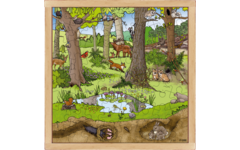 Rolf Puzzels - Puzzel bos lente-zomer, 64 stukjes