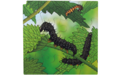 Rolf Connect - Groeipuzzel vlinder 28 x 28 cm 4-lagen 86 stukjes