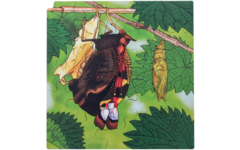 Rolf Connect - Groeipuzzel vlinder 28 x 28 cm 4-lagen 86 stukjes