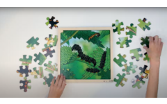 Rolf Connect - Groeipuzzel vlinder 28 x 28 cm 4-lagen 86 stukjes