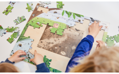 Rolf Puzzels - Insectentuin