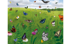 Rolf Puzzels - Puzzelserie Natuurtuin (2stuks)