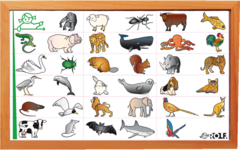 Rolf More - Dieren rijmspel