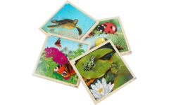 Rolf Connect - Groeipuzzelpakket