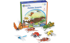 Jumbo insecten