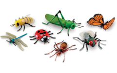 Jumbo insecten
