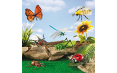 Jumbo insecten