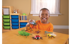 Jumbo insecten