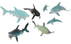 Zeedierenset, 7 stuks