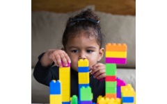 BiOBUDDi Education Big bouwblokken 500 stuks